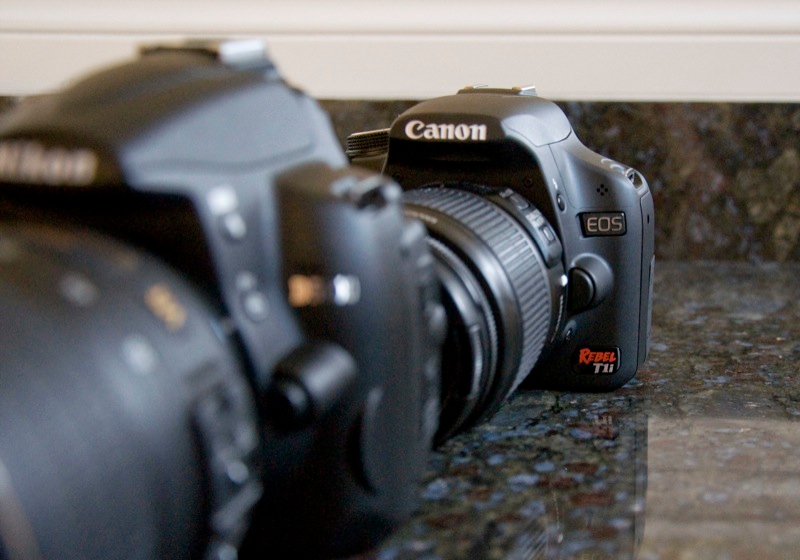 Illustration for article titled Canon Rebel T1i vs Nikon D5000: Entry-Level DSLR Battlemodo